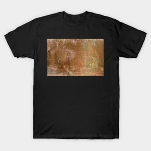 Oxided copper seppia T-Shirt